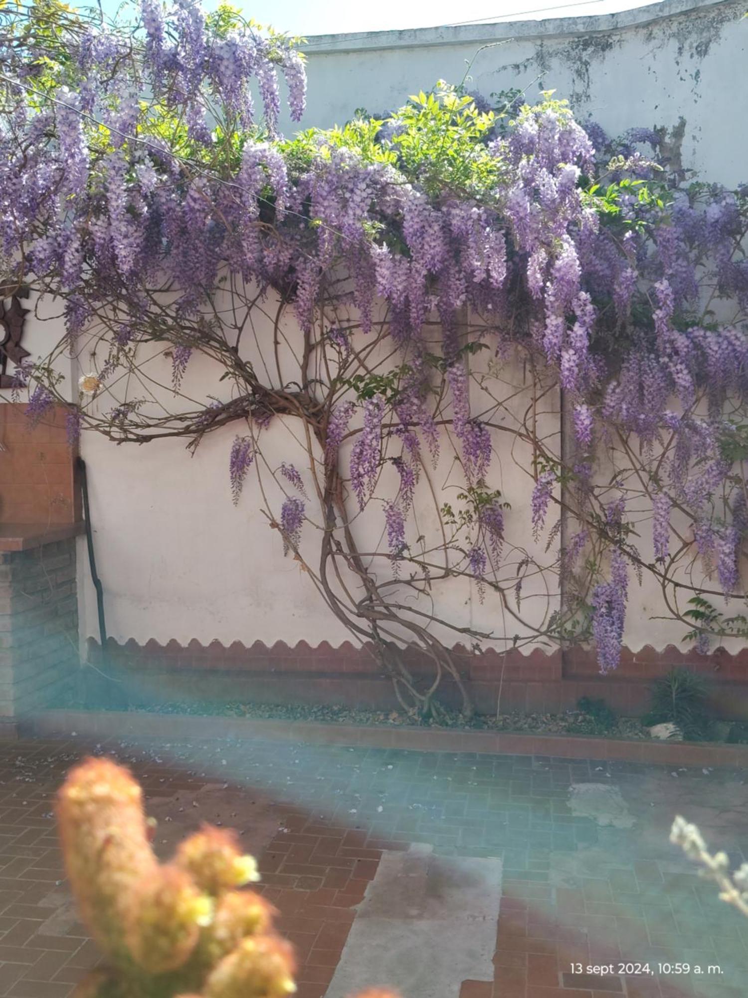 Vila Casa Kuyay San Salvador de Jujuy Exteriér fotografie